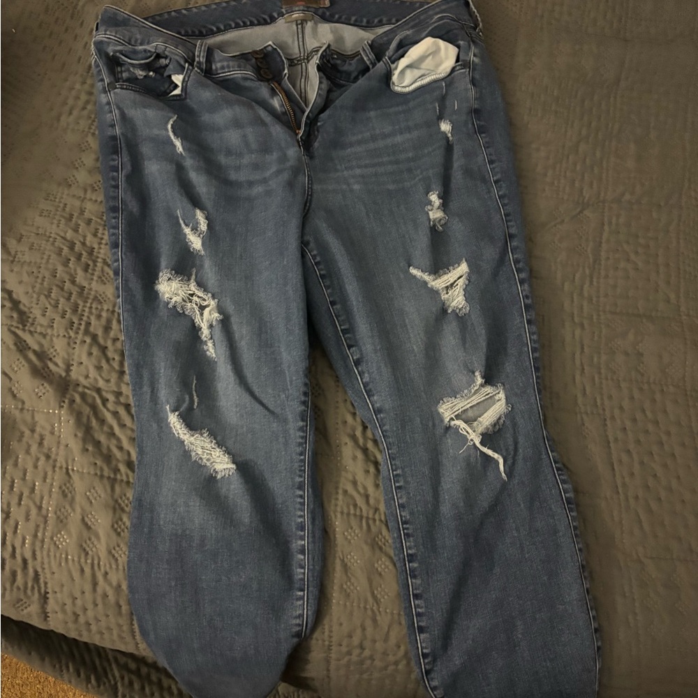 Size 22 Torrid